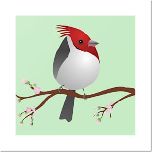 Cute egg shaped red crested cardinal Posters and Art